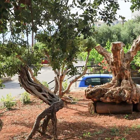 Apartment Comfortable With Garden - Casa Con Vista *
